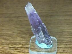 Amethyst Phantom