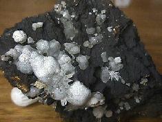 Aragonite