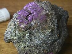 Purpurite