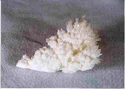 aragonite