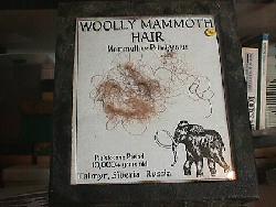 Mammoth hair